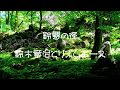 鈴懸の径(灰田有紀彦作曲)鈴木章治とリズムエース