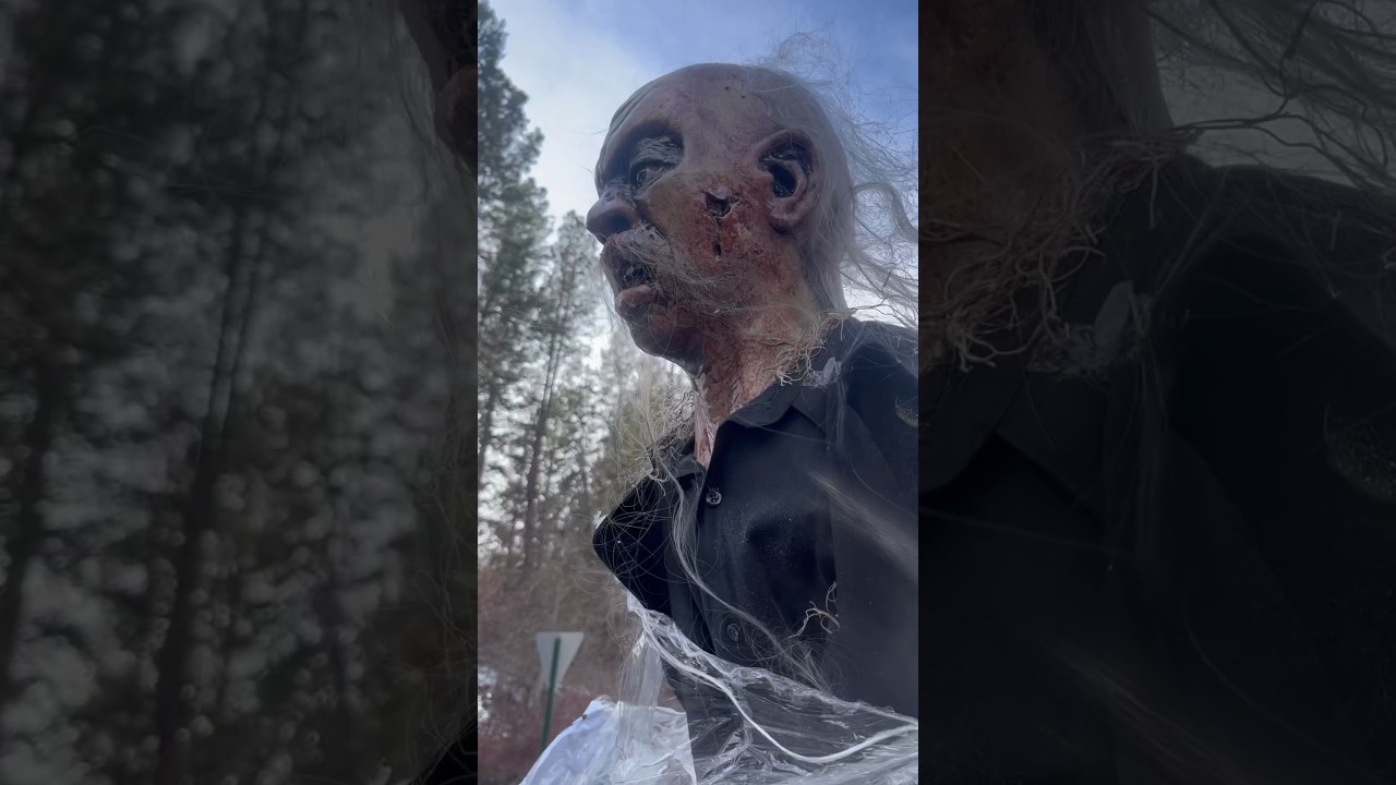Animatronics are amazing #spooky #dog #halloweencostume #halloween2024 #diy #skull #spookyhalloween