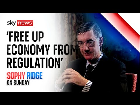 'we must free up economy from regulation'  - jacob rees-mogg
