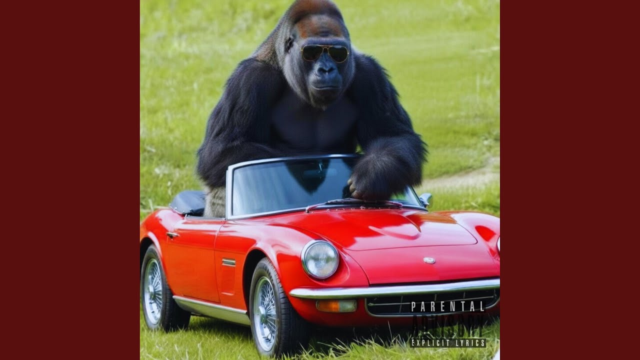 YouTubeでMonkeyを視聴 YouTubeでMonkeyを視聴