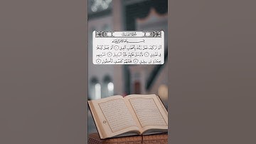 سورة الفيل القارئ عبدالقادر محمود الكردي #quran #المصحف #القرآن #القرآن_الكريم #سورة_الفيل
