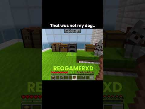 THAT'S NOT MY DOG 🥀💀
