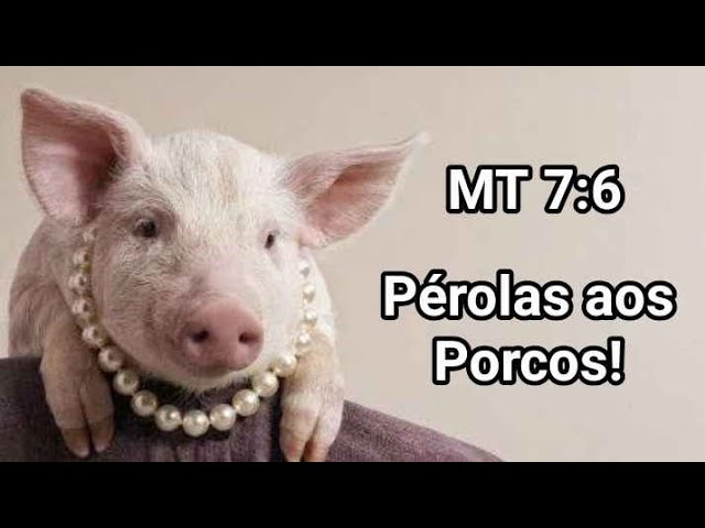 Mateus 7:6 Significado de Não lance suas pérolas aos porcos  Estudo  bíblico indutivo, Estudo sobre oração, Bíblia estudo