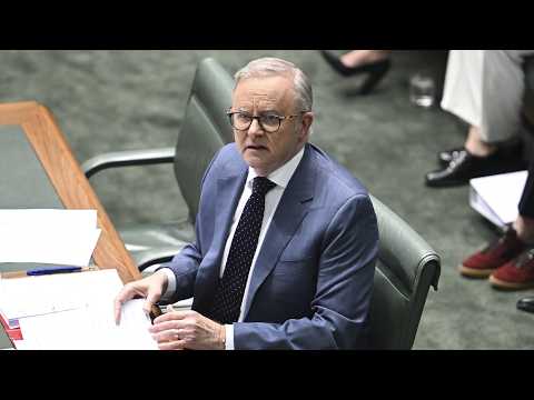 ‘We’re being sucked down a regulation vortex’: Shadow Treasurer calls for reduced red tape