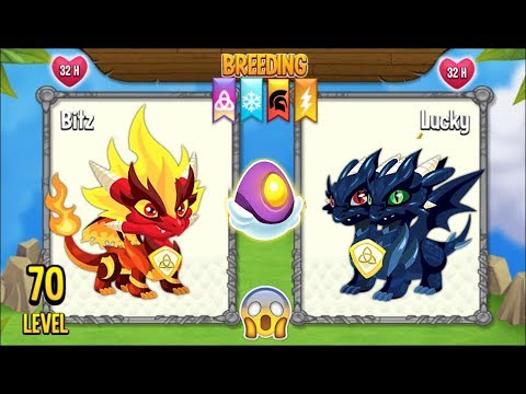 New Breeding Pure Flame Dragon Pure Dark Dragon Dragon City 2019