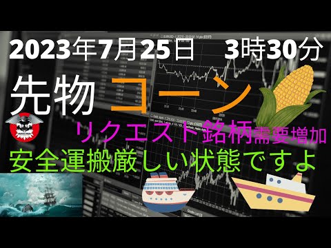 コーン　先物　リクエスト銘柄　面白いね
