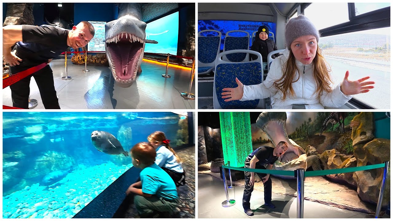 «Мы НЕ ожидали ТАКОГО... Приморский океанаруим ошеломил 😱»