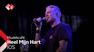 Download Lagu IOS - Heel Mijn Hart | NPO Radio 2 MP3