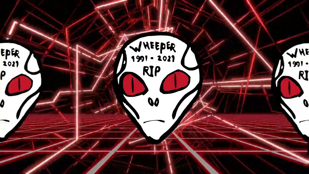 Wheeper Wheeper debuteert met lo-fi garagepunkliedje ‘Scapegoat’ | 3voor12 Lokaal