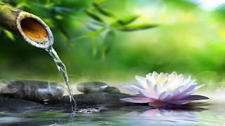No Ads Relaxing Piano &amp; Water Sounds🌿Peaceful Music for Meditation and Sleep &amp; Peaceful Sleep, Calm