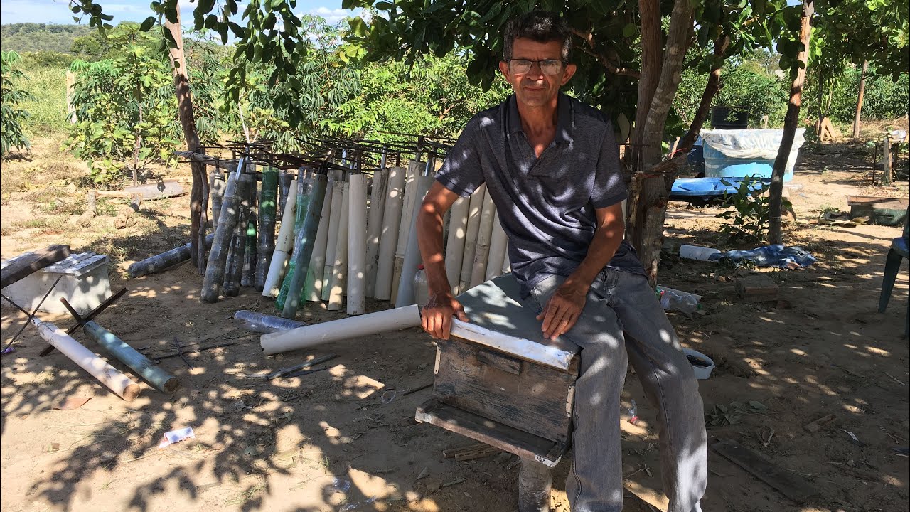 Cavalete ante formiga de custo baixo