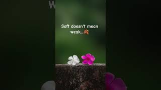 ✨💙#emotional #nature #flowers #soft #silent