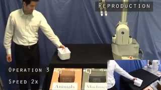 Robot Learns to Organize Objects using Visuospatial Skill Learning