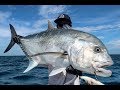 TOPWATER MONSTER GT FISHING IN PARADISE