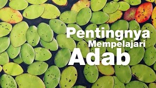 Daurah (Bulughul Maram): Pentingnya Mempelajari Adab - Ustadz Muslam