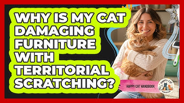 Why Is My Cat Damaging Furniture With Territorial Scratching? - Happy Cat Handbook
