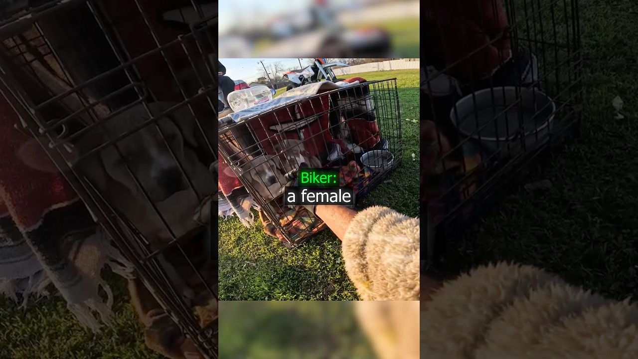 Biker Buys Cute Dogs !😱
