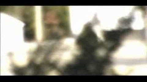 Depth of Field and film look test