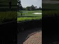 Just bouncing around the Augusta National. #anwagolf #TheMasters #golf
