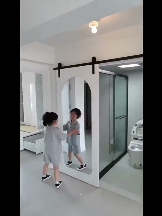 Wholesale Barn Doors with Mirror