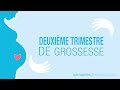 Deuxième Trimestre de Grossesse - La Grossesse trimestre par trimestre