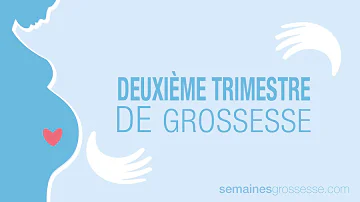 Quels sont les mois des trimestres ?