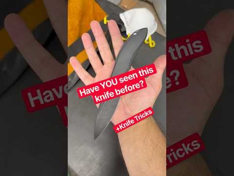 Today’s Everyday Carry Knife + Tricks | WE Knife Makani Custom