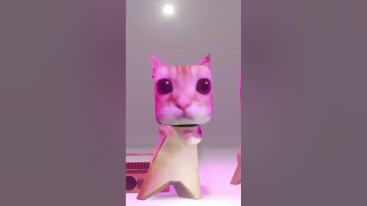 El gato dance 😳 #fyp #shorts #viral #foryou #elgato #dance