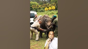 "Rhino Rescue: Python Attack Caught Just in Time!"#shorts#shortsfeed#viralshorts#facts#youtubeshorts