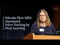 Ai in medicine valvular flow mri  automated valvetracking by deep learning