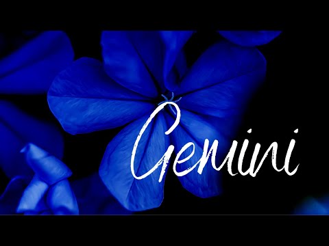 Gemini💎Moving On To A Beautiful New Love🖤Someone's Feels You're Letting Go💎Energy Check-In