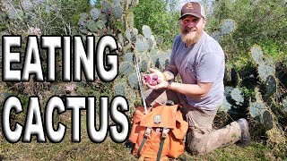 How To Eat A Cactus Fruit / Day 3 Of 30 Day Survival Challenge Texas