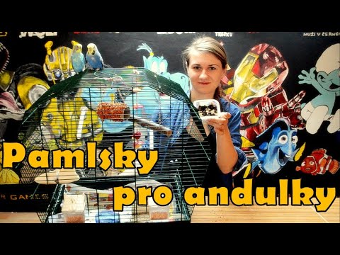 Pamlsky pro andulky