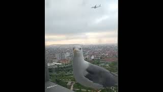 Bayram Gelmiş Neyime Anam Anam Garibem Fırat Türkmen Resimi