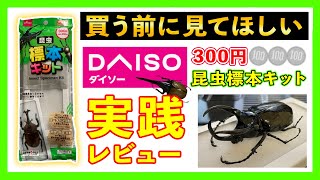 【レビュー】ダイソーの300円昆虫標本セットが使えるのか？実際にやってみた！