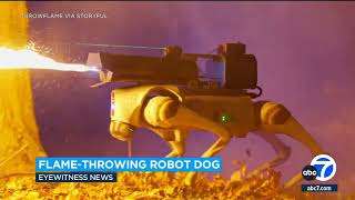 Company in Ohio is selling robot dogs with a flamethrower attached