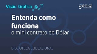 Entenda como funciona o mini contrato de Dólar Futuro