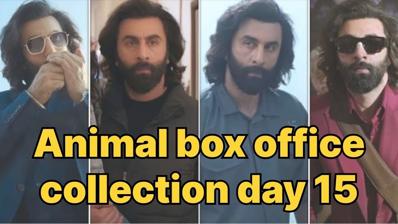 Animal box office collection day 15 Ranbir Kapoor’s