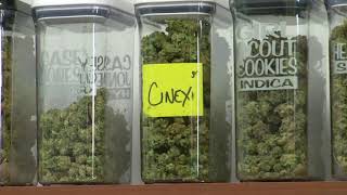Montana committee removes medical marijuana changes from recreational marijuana initiative
