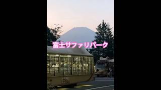 #富士サファリパーク#ナイトサファリ👍夜はまた雰囲気違く綺麗✨