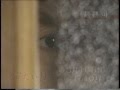 冷たい月 最終回 番宣 冷たい月 最終回 番宣