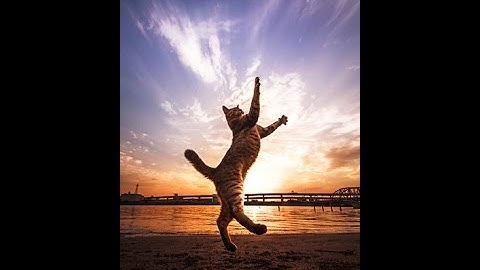 Love you`re friend(s).