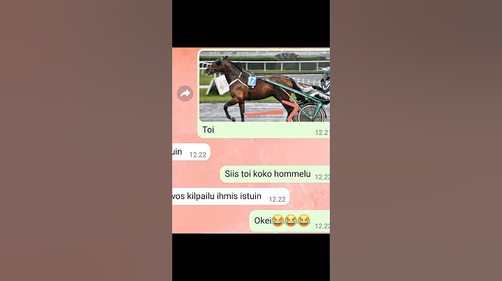 Nyt meni hyvin🤣🤣 (kuvaus) #edit #horse #viral #lol #meme #fypシ #foryou #equestrian