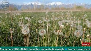 Şiirlerle Menkıbeler Muhammed Bâki Billâh Hazretleri Rahmetullahi Aleyh Namaz Kılmıyorsa