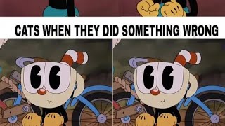 *Cuphead suffering noises in background*/j