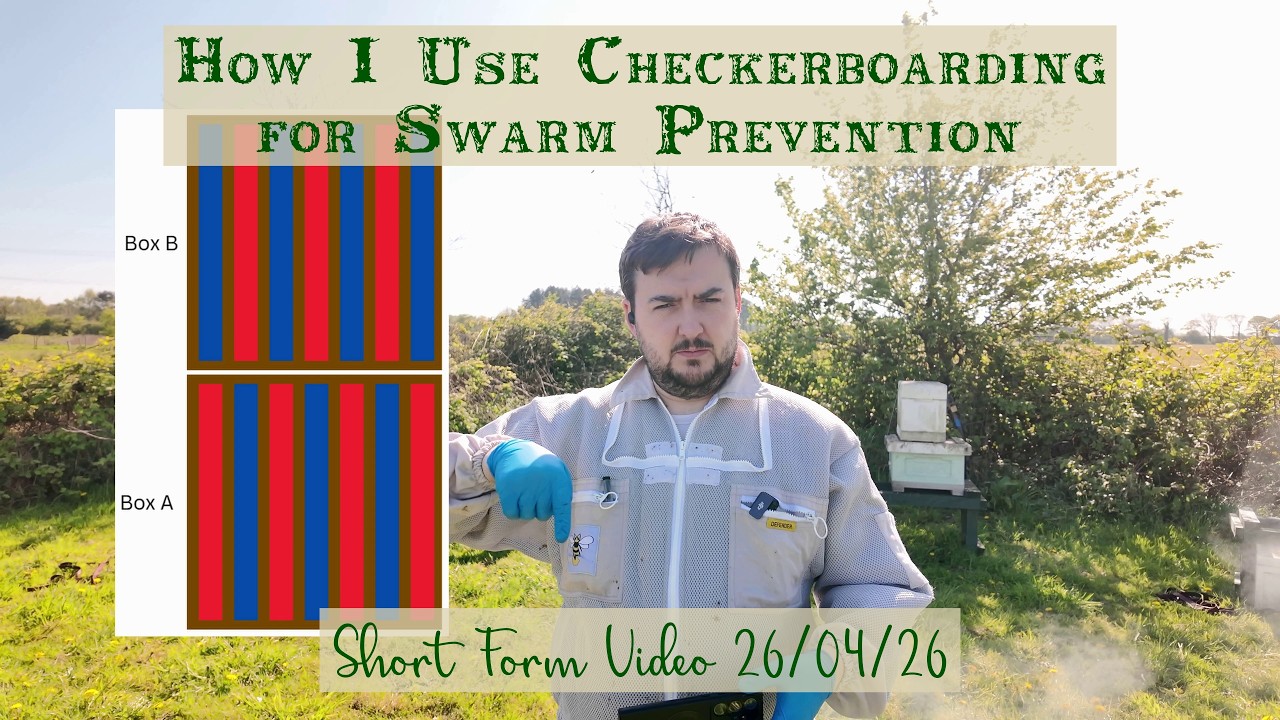 How I Use Checkerboarding for Swarm Prevention - Short Form Video 26/04 ...