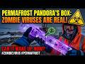 Permafrost Pandora's Box: The Real Threat of Ancient "Zombie" Viruses