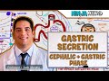 Gastrointestinal | Gastric Secretion: The Cephalic &amp; Gastric Phase Mp3 Song