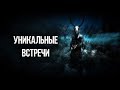 Skyrim РЕДКИЕ И УНИКАЛЬНЫЕ ВСТРЕЧИ