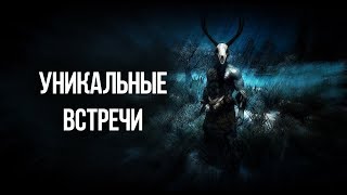 Skyrim РЕДКИЕ И УНИКАЛЬНЫЕ ВСТРЕЧИ